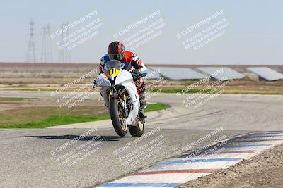 media/Feb-21-2025-Lets Ride (Fri) [[f483f33afd]]/A Group/1220pm (Wheelie BUmp)/